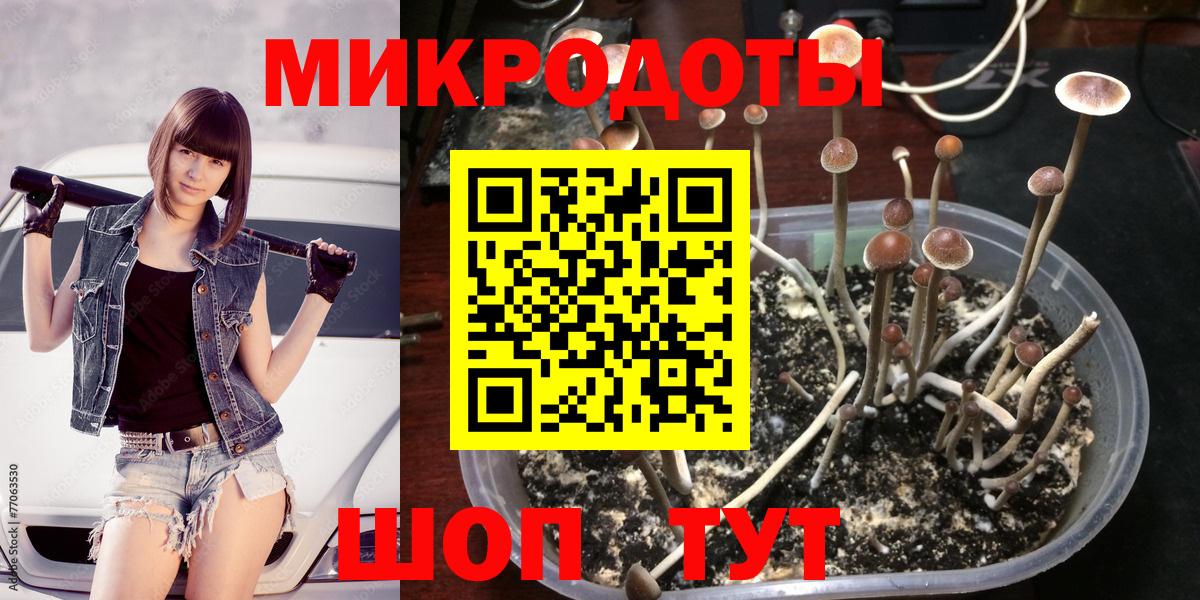 Псилоцибиновые грибы GOLDEN TEACHER Тулун