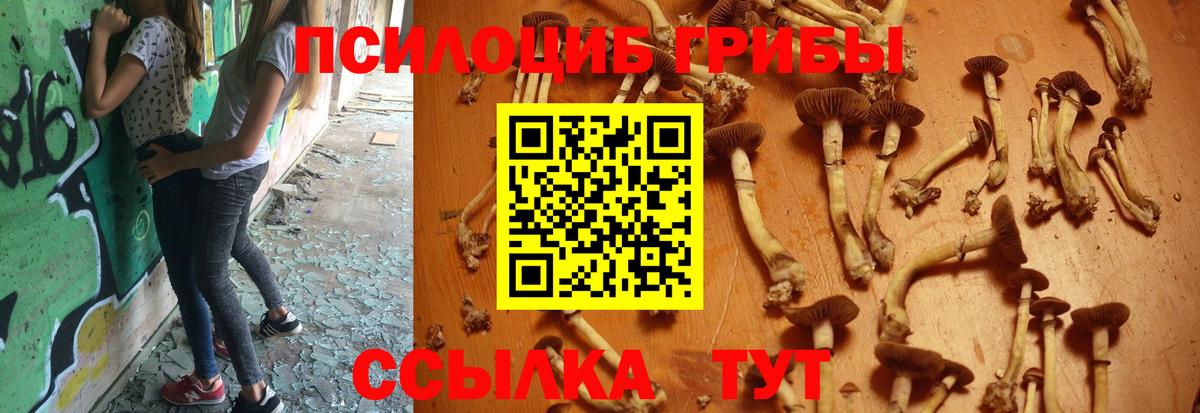 Псилоцибиновые грибы Magic Shrooms  как найти   Тулун  Вход с VPN  Галлюциногенные грибы Magic Shrooms 